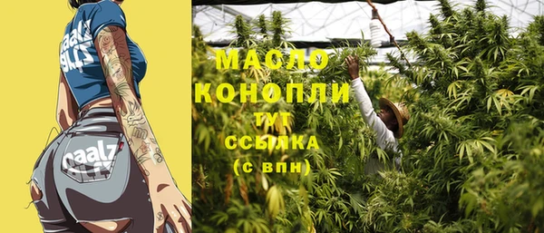 крисы Ельня