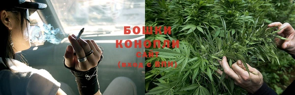 мдпв Зеленодольск