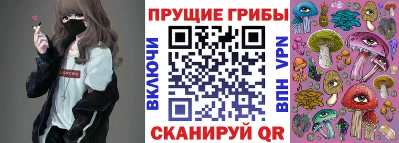 Купить закладки  Чудово  Псилоцибиновые грибы MAGIC MUSHROOMS 